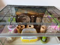 Nagarium für Hamster mit viel Zubehör Thüringen - Meiningen Vorschau