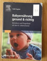 Babyernährung Babynahrung ab dem 6. Monat Niedersachsen - Weyhe Vorschau