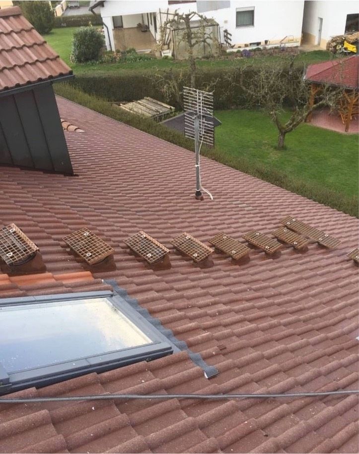 Dachreinigung, Terrassenreinigung,Pflasterreinigung in Reisbach