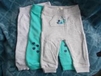 3 NEUE Jogginghosen Hosen Baby Gr. 74 80 Sachsen-Anhalt - Freyburg (Unstrut) Vorschau