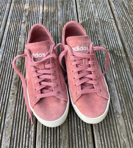 Adidas court vantage rot sales