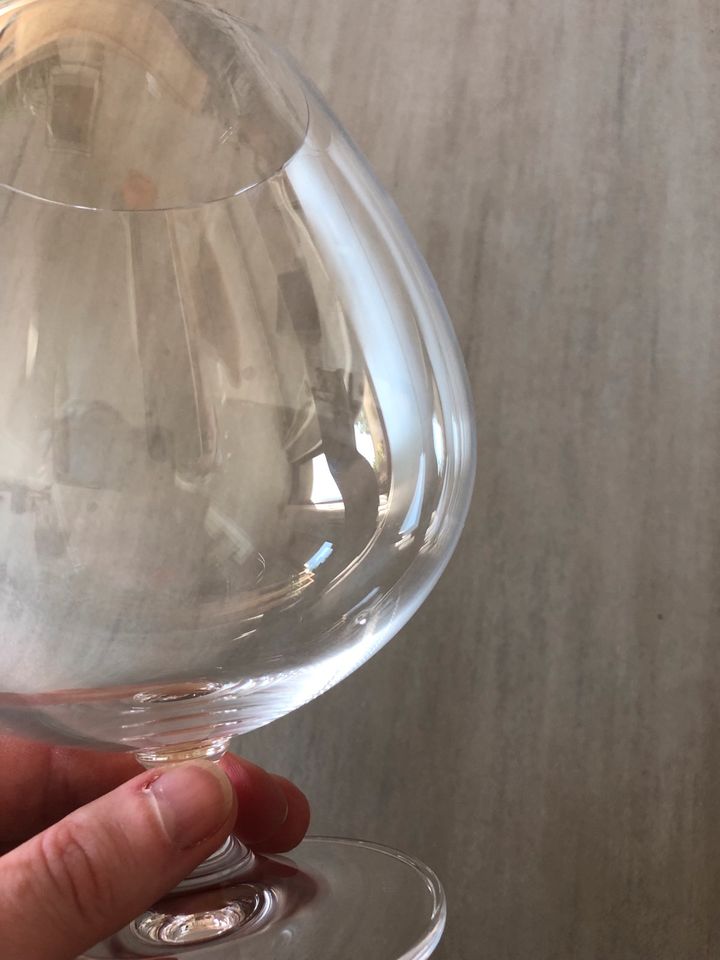 Cognacschwenker Cognac Glas Riedel groß in Offenburg