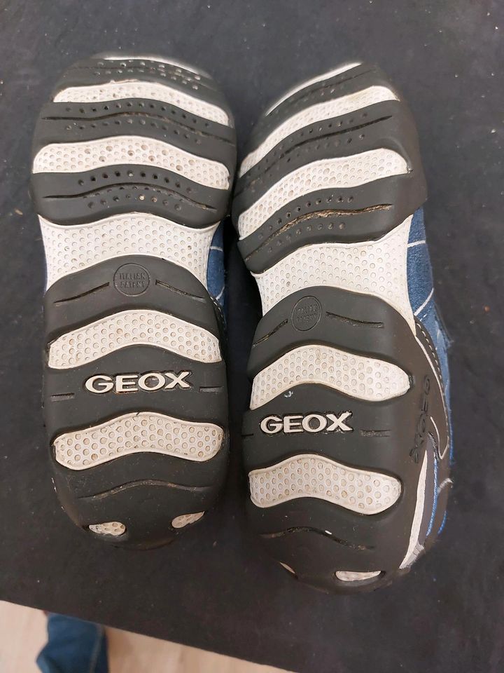 Geox Sandalen Gr. 35 in Heitersheim