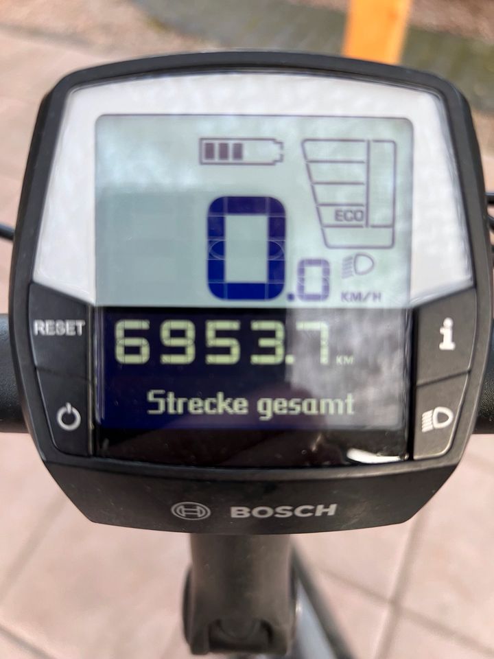 E-Bike Herren PEGASUS Solero E8 Sport Performance in Bottrop