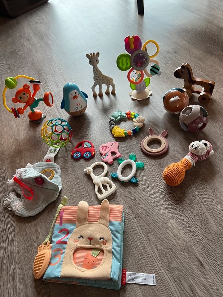 Babyspielzeug, Kuscheltuch, Badespielzeug in Neustadt am Rübenberge
