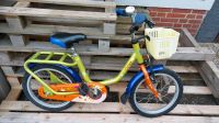 Kinderfahrrad 16 Zoll grün Balou Niedersachsen - Cremlingen Vorschau