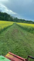 Mulcharbeiten, Mäharbeiten, Rasenpflege, Landschaftspflege Hessen - Künzell Vorschau