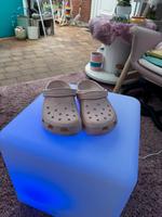 Crocs – Klassische Unisex-Clogs pink Rosa Nordrhein-Westfalen - Warburg Vorschau
