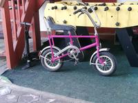 Blitz Bächtiger Fahrrad DDR Ostalgie Bonanza Sachsen-Anhalt - Salzwedel Vorschau