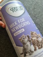 Kitten Milch Concept for life Schleswig-Holstein - Flintbek Vorschau