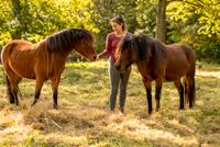 Tiergestütztes Coaching Hessen - Dautphetal Vorschau