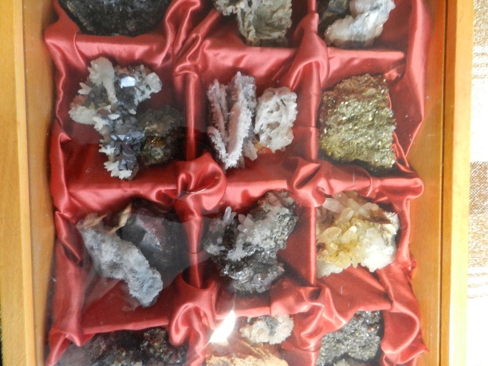 Diverse Mineralien aus Bulgarien (Madan) in Präsentationsbox in Pölitz