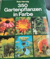 4 Stück Blumen und Floristik Bücher Bayern - Memmingen Vorschau