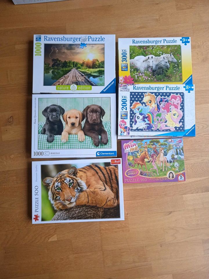 Set Puzzle Ravensburger, Schmidt, Clementoni in Laubach