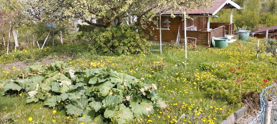 Garten unterhalb vom Hotel Steiger abzugeben in Schneeberg