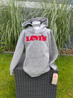 Schöner Levis Pullover Gr. 104 110 aus den USA Grau rot  Neu Hessen - Wiesbaden Vorschau