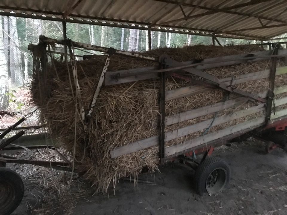 Ladewagen  gebraucht in Hähnichen