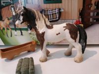 Schleich Tinker Hengst Pferd mit Behinderung Berlin - Neukölln Vorschau