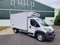 Fiat Ducato Kühlkoffer -8°C Konvekta Rheinland-Pfalz - Dernbach Vorschau