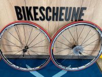 Rennrad Gravel Mavic Laufradsatz + Reifen Ksyrium Elite  schwarz Sachsen - Neukirchen-Adorf Vorschau