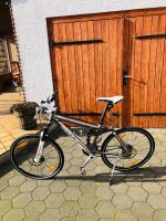 Bulls Mountainbike Didda 2 Rh43 26er Nordrhein-Westfalen - Olfen Vorschau