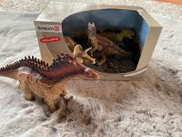 Schleich ♥️ Dino Set neu OVP ♥️ Dinosaurier ab Baden-Württemberg - Oberkirch Vorschau