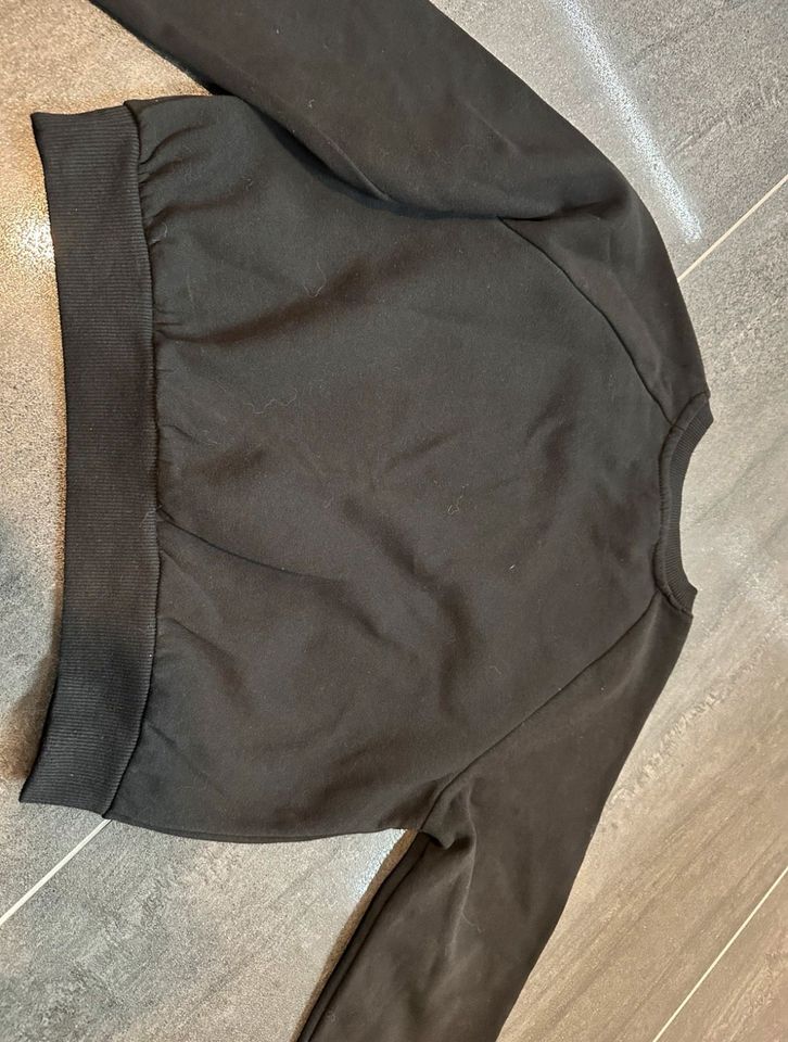 Pulli| H&M | Größe 146/152 in Bokensdorf