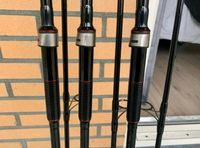 3× Greys X-Flite+ 12ft 2.75lbs Karpfenruten Carp Rods Piano Blank Niedersachsen - Bad Bentheim Vorschau