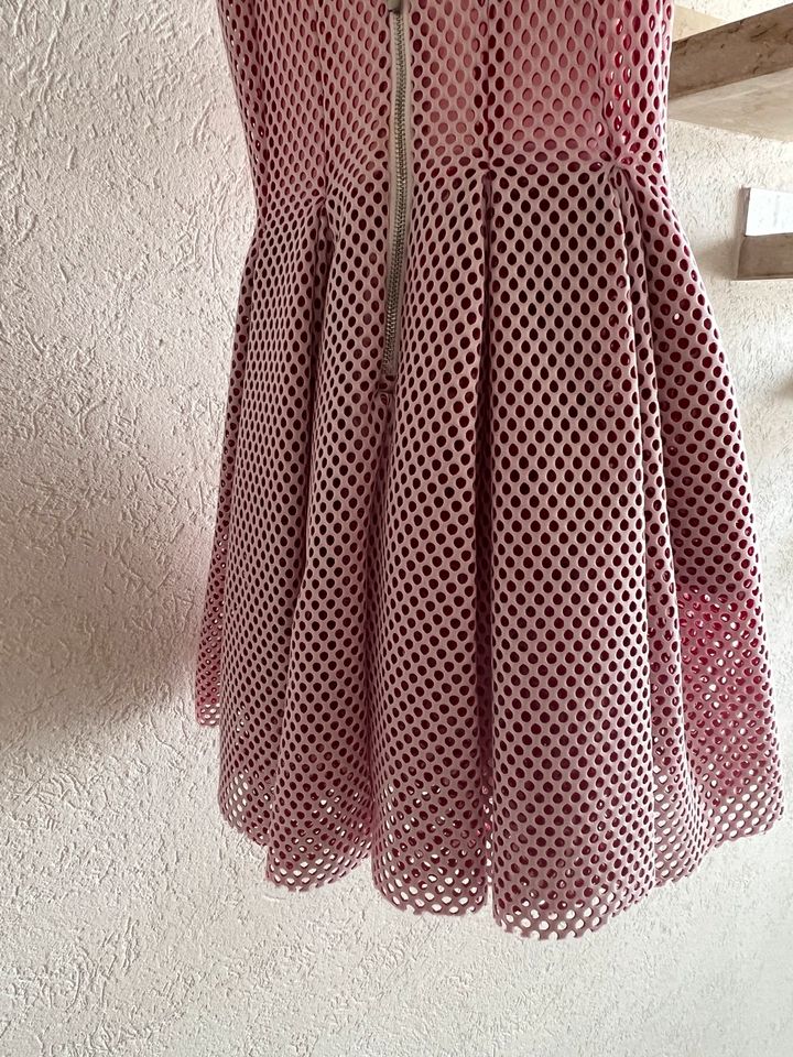 Maje Kleid Tüll Größe 1 in München