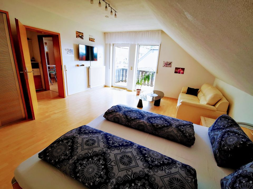 Apartment Möbliert mit super Panorama und Ruhe in Schöneberg (Hunsrück)