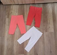 Kurze Sommer Leggings capri 3/4 - Rot Koralle Weiß Gr 110 116 Sachsen - Schönbach Vorschau