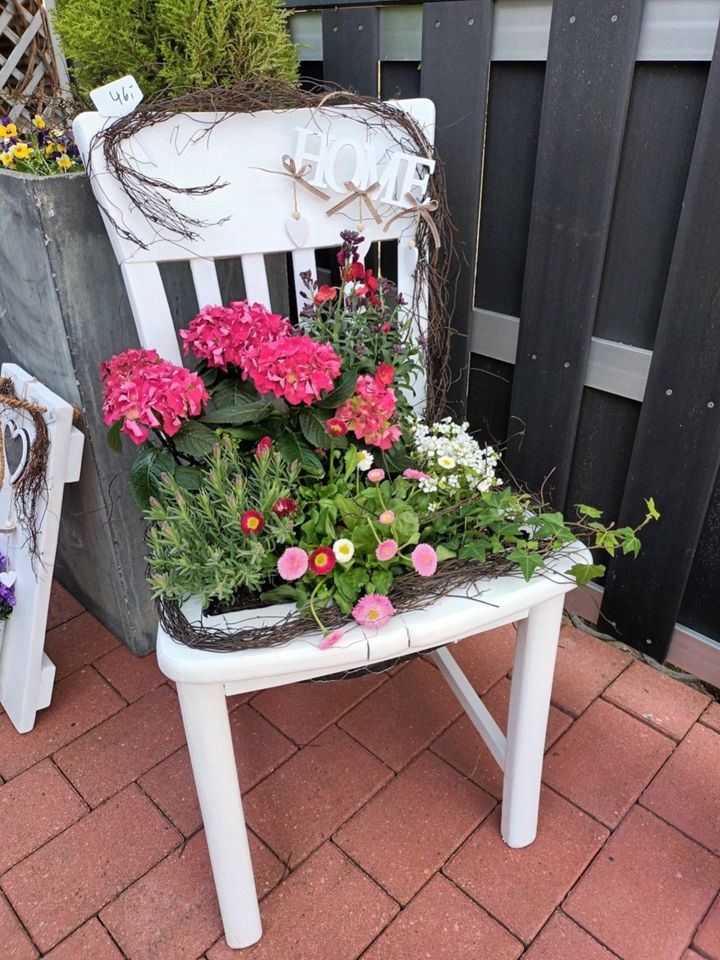 Bepflanzter Stuhl mit Hortensie in Niedersachsen - Hesel | eBay  Kleinanzeigen ist jetzt Kleinanzeigen