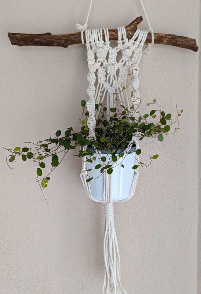 Wand Blumenampel Makramee Boho Handarbeit Wandbehang in Moringen