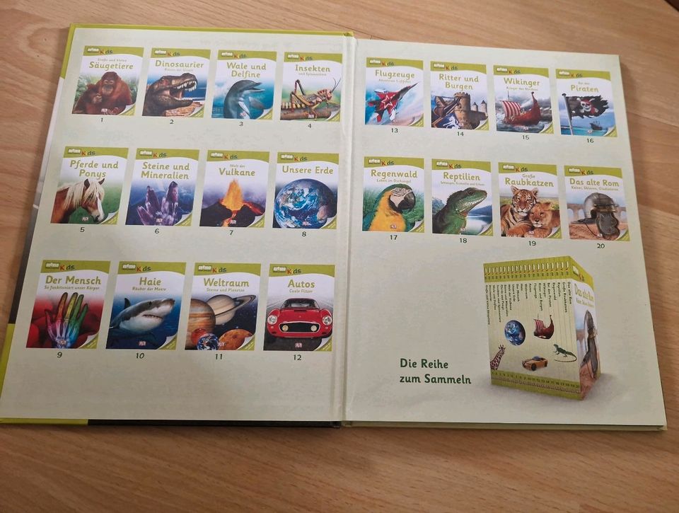 Memo Kids Autos Coole Flitzer Kinderbuch Bilderbuch Kinder in Warburg
