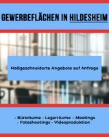 Gewerbeflächen zu vermieten in Hildesheim Niedersachsen - Hildesheim Vorschau