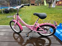 Süßes Puky Fahrrad Prinzessin Lillifee sucht neues Zuhause Saarland - Mettlach Vorschau