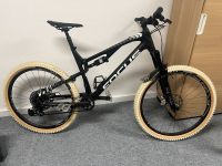 Focus Spine C 0.0 Größe L MTB 27,5 Carbon Fully Harburg - Hamburg Wilstorf Vorschau