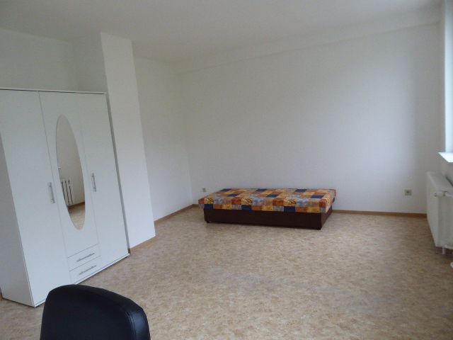 Big one-room apartment near Ilmenau in Ilmenau