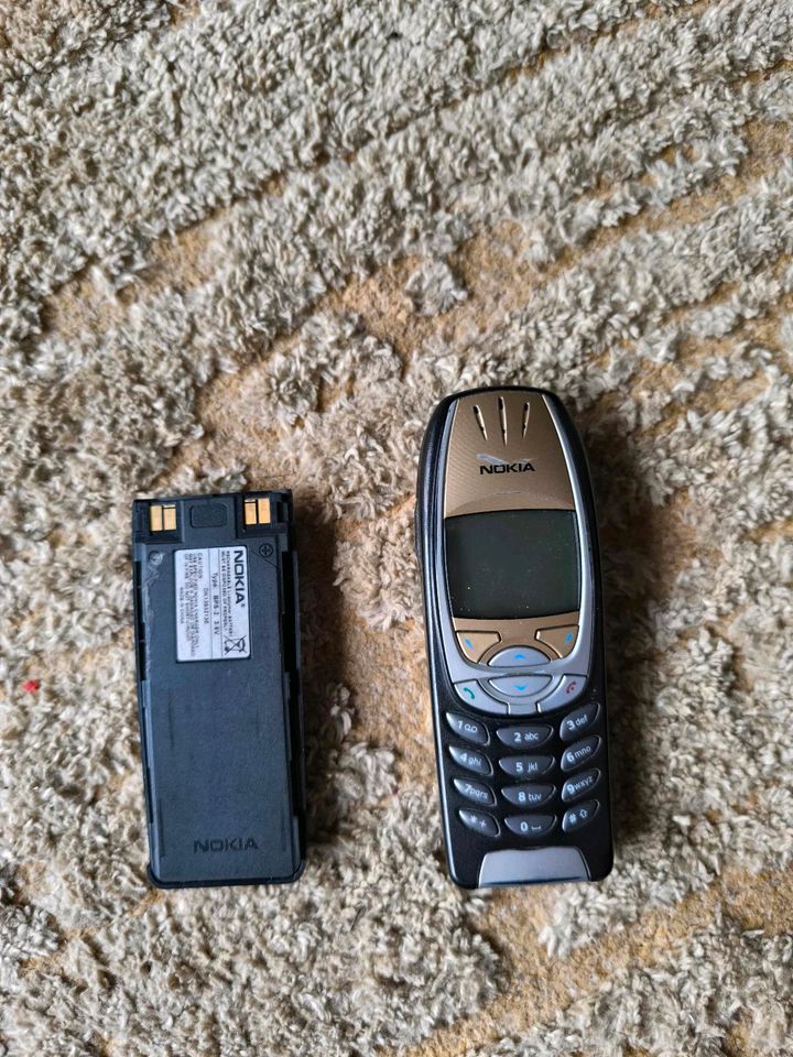 Nokia 6310 in Bienstädt