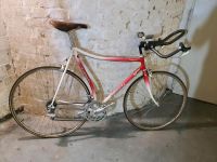 TT Rennrad Sloughi, Campagnolo record, Versand möglich Niedersachsen - Wilhelmshaven Vorschau