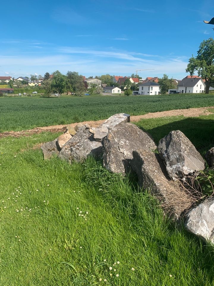 Vorarlberger Flussbausteine & Würzburger Muschelkalksteine in Herbertingen