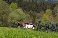 Ferienhaus Bayerischer Wald - ruhige Traumlage Nähe Deggendorf Bayern - Bernried Niederbay Vorschau