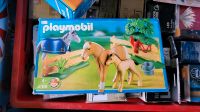 Playmobil Pferde Niedersachsen - Cloppenburg Vorschau