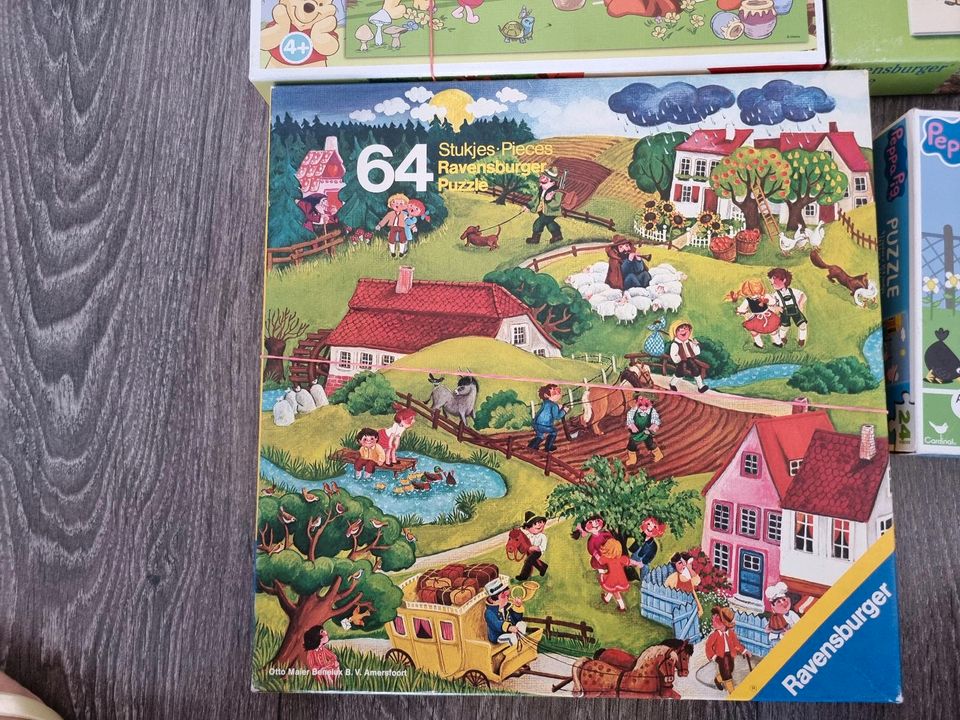 9 Puzzles alle vollständig fast neue in Weisenheim am Sand