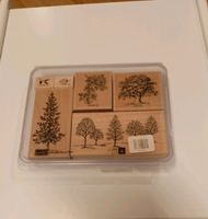 Stampin Up Stempelset lovely as a tree Holz stempel Niedersachsen - Soderstorf Vorschau