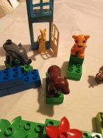 Lego Duplo Zootiere Set Tierbabys aus 4962 Eimsbüttel - Hamburg Stellingen Vorschau