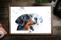 Fine Art Print "BERNER SENNENHUND" Schleswig-Holstein - Sommerland Vorschau