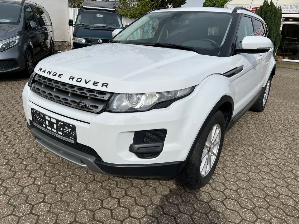 Land Rover Range Rover Evoque Pure in Mönchengladbach