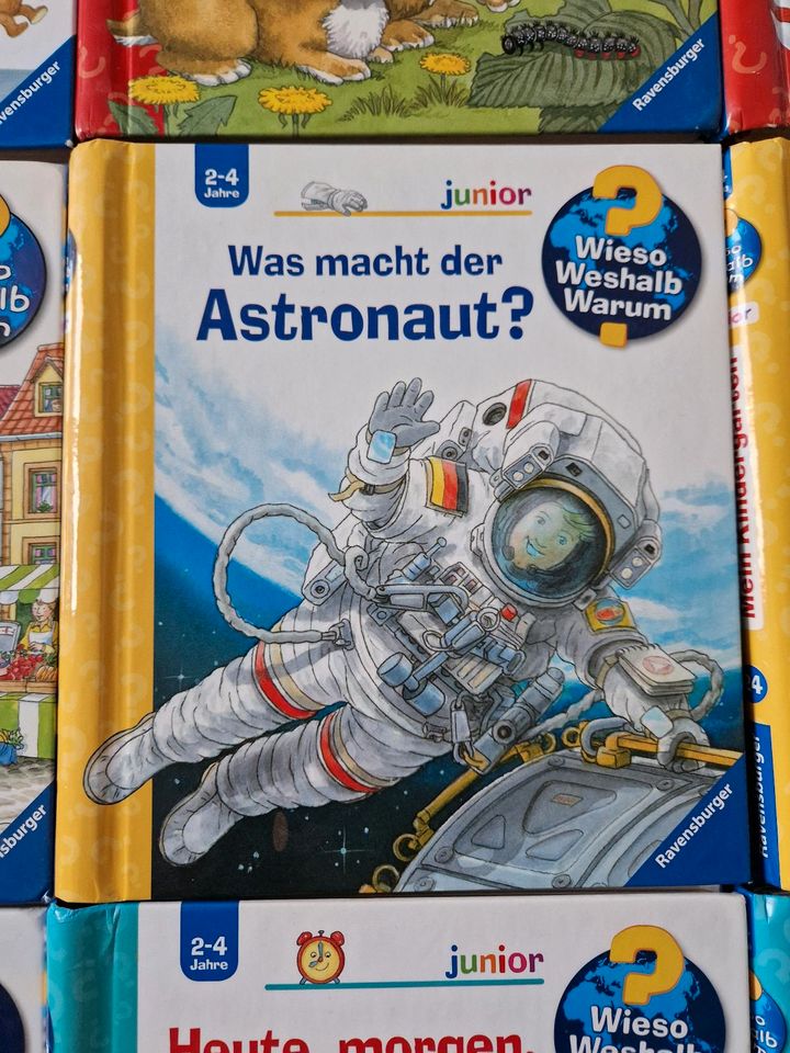 Ravensburger - Wieso Weshalb Warum junior 2-4 Jahre 5€ pro Buch in Tangstedt