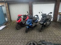 3 Aprilia Alls Basler Duisburg - Walsum Vorschau